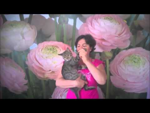 Bellissimo video degli amici per gli sposi Marco e Cristina!! matrimonio 03 agosto 2014