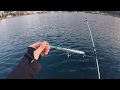 Montenegro Spinning - Jack Fin Stylo 210 - Bluefish attack