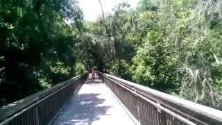 preview picture of video 'Fishhawk Ranch Lithia FL Bike Trail'