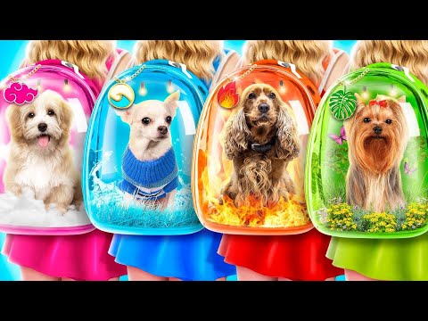 We Adopted Four Elements Pets! Secret Room for Magic Fire, Water, Air and Earth Dog