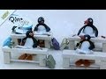 Pingu And The Paper Airplane Pingu Official Channel