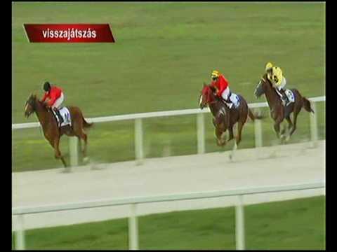 Puszta-Diósi HP 1400m