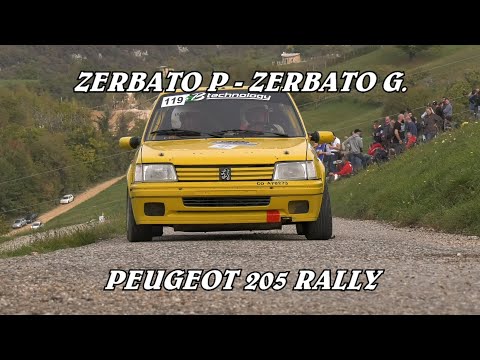 REVIVAL VALPANTENA 2022 | ZERBATO P. - ZERBATO G. | PEUGEOT 205 RALLY