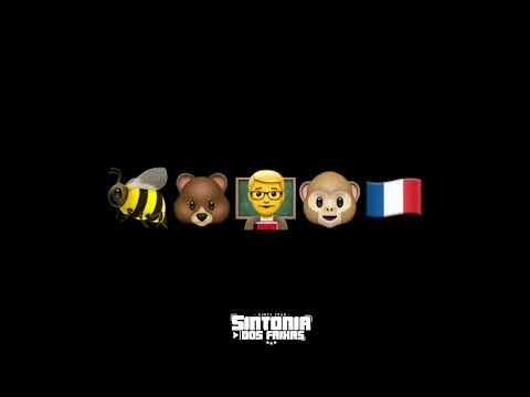 OS CARRO MONSTRO DO CPX, ABELHA, URSO, PROFESSOR MACACO RUSSO   TIKTOK DJ COELHÃO 130 BPM