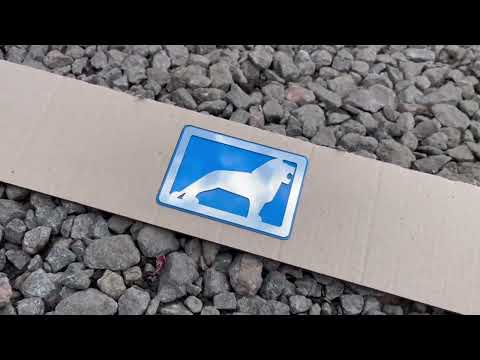 3D Объёмные логотип Лев для MAN TGX (2007-2012) - фото 2 - id-p2595790286