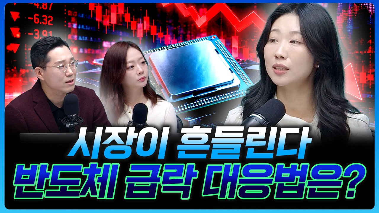 급락장, 지금은 어떻게 대응해야 할까? 금리·반도체·2차전지 핵심 변수 | 김문정 하나증권 범어동지점 PB 