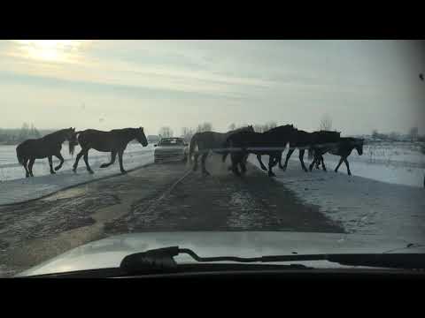 Sibirische Straßensperre Sibirische Straßensperre