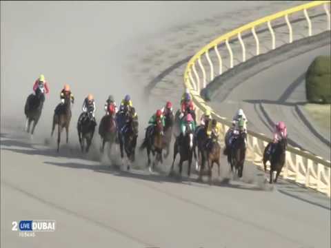 2017.02.19 February Stakes (JPN) - Gold Dream