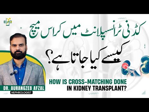Kidney Transplant & Cross Match Test | Kidney Transplant Kaise Karta Hain | Kidney Failure Treatment
