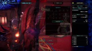 大晦日だよ猫生き団！ムフェトまったりプレイ