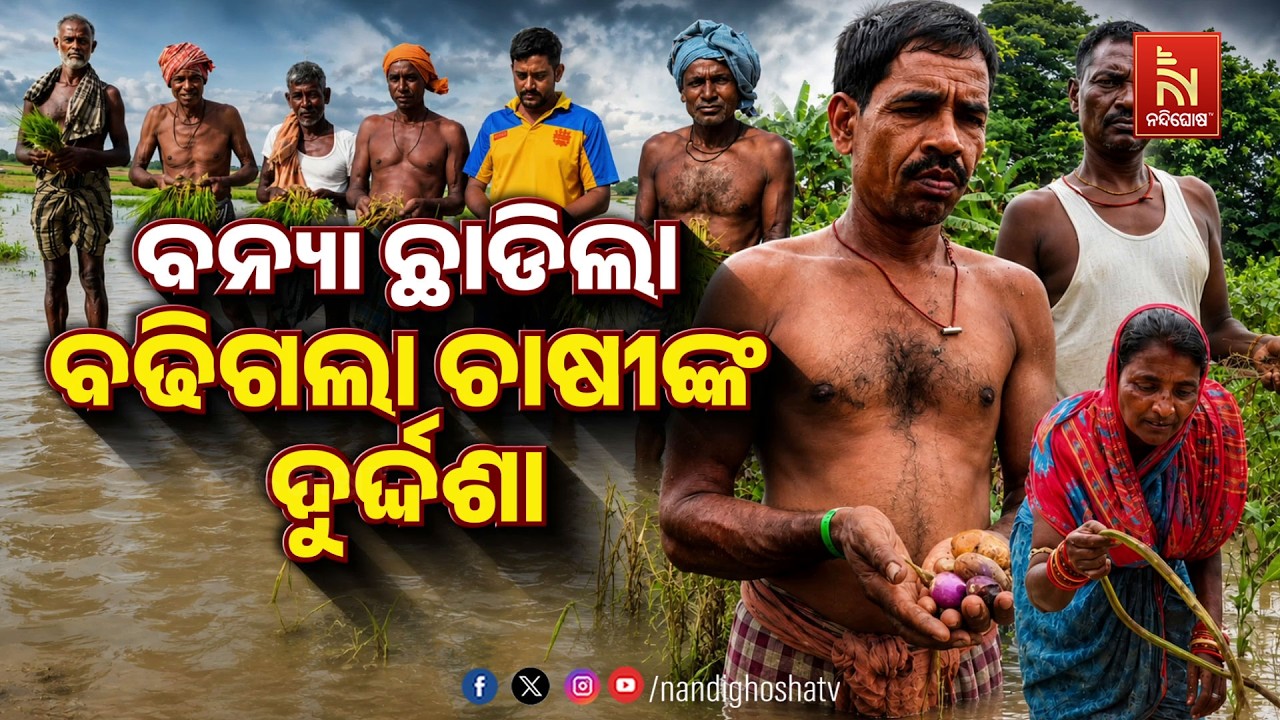 🔴Live | ବନ୍ଯା ଛାଡିଲା : ବଢିଗଲା ଚାଷୀଙ୍କ ଦୁର୍ଦ୍ଦଶା