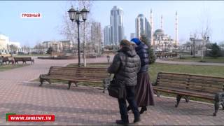 Чеченские загадки войдут в сборник загадок народов России