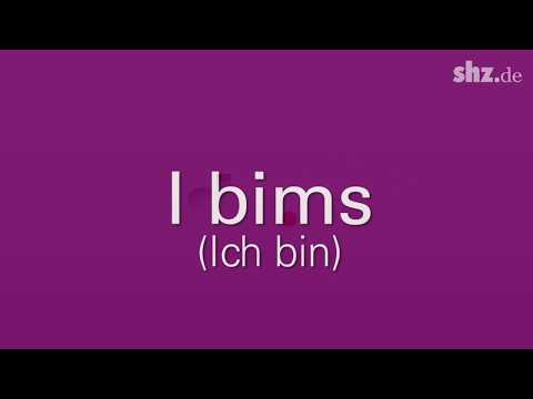 Teilzeittarzan, tinderjährig, I bims & Co: Das Jugendwort 2017 wurde gekürt