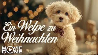 So einen süßen Weihnachtsfilm muss man gucken: Ein Welpe zu Weihnachten (Ganzer Film)