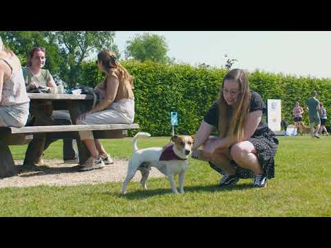 CaroCroc Fandag 2023 - Hondenzwemvijver Ut Poeleke - Officiële Aftermovie