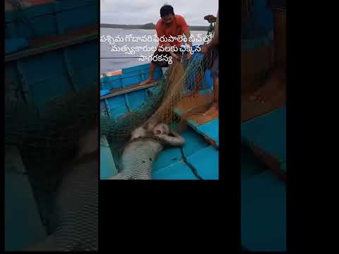 peru palem beach lo dhorikina sagara kanya😎😅#youtube##trending##viral##new shorts##subscribe#