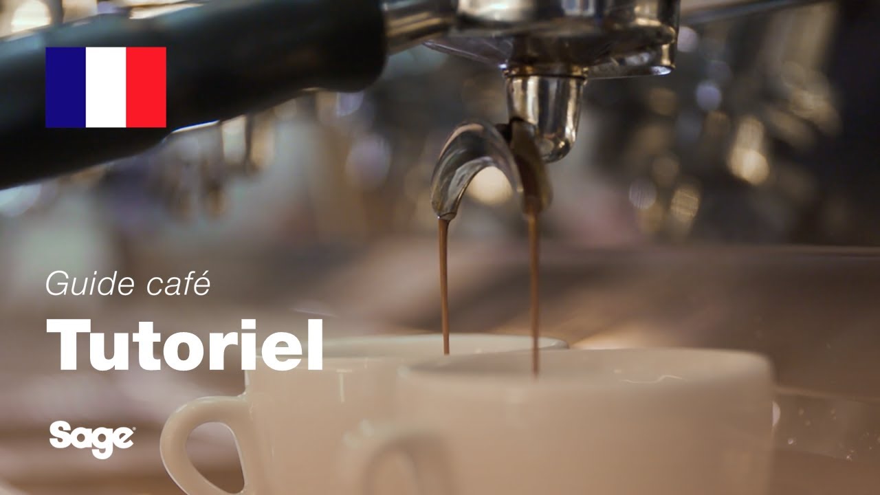 Guide didactique du café Breville - Équilibrer votre extraction