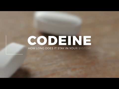 How Long Does Codeine Stay In Your System
