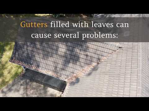 Gutter Monkeys video.