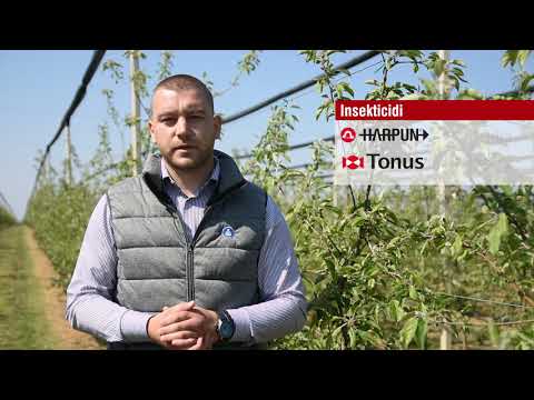 Galenika Fitofarmacija - ZAŠTITA JABUKE