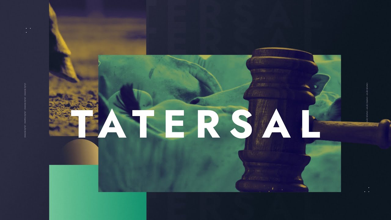 [AO VIVO] TATERSAL | 31/07/2026 – 12H45