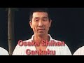 Osaka Shihan Kata Gankaku Explicación Y Aplicación