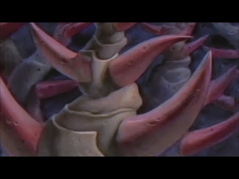 ᄿborealism - Soleil Noir