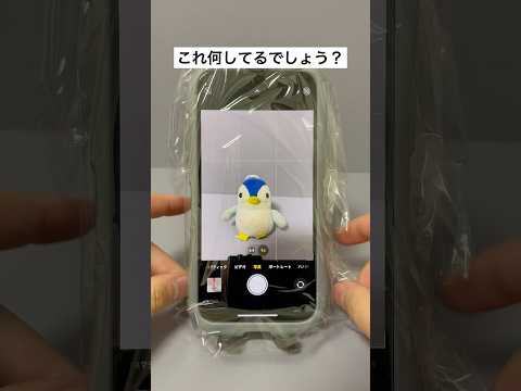 iPhone声で写真を撮る方法！#iPhone便利術#iPhone裏技#iPhone便利機能#iPhone時短＃アプリ#アップル#スマホ＃スマホアプリ#スマートフォン