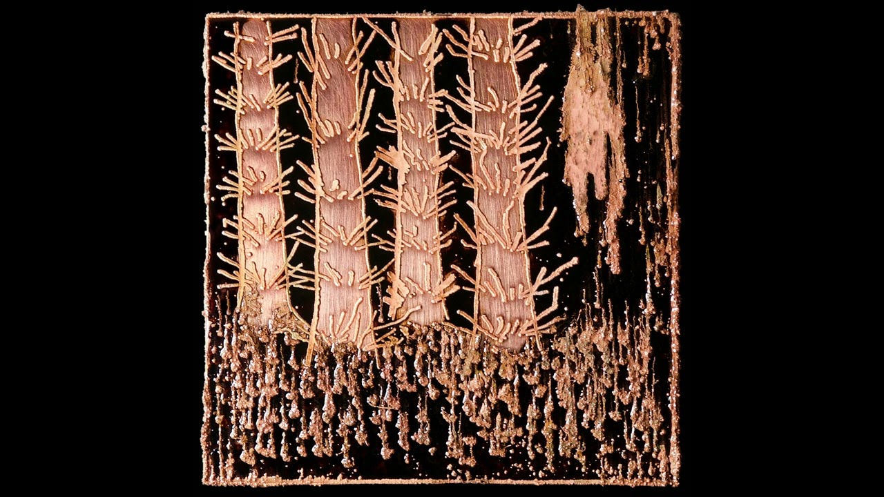 The Orchestra (For Now) - Wake Robin (Official Audio)