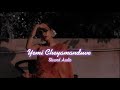Yemi Cheyamanduve Slowed And Reverb Slowed Audio