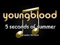 5 Seconds Of Summer - Youngblood (Karaoke) ♪