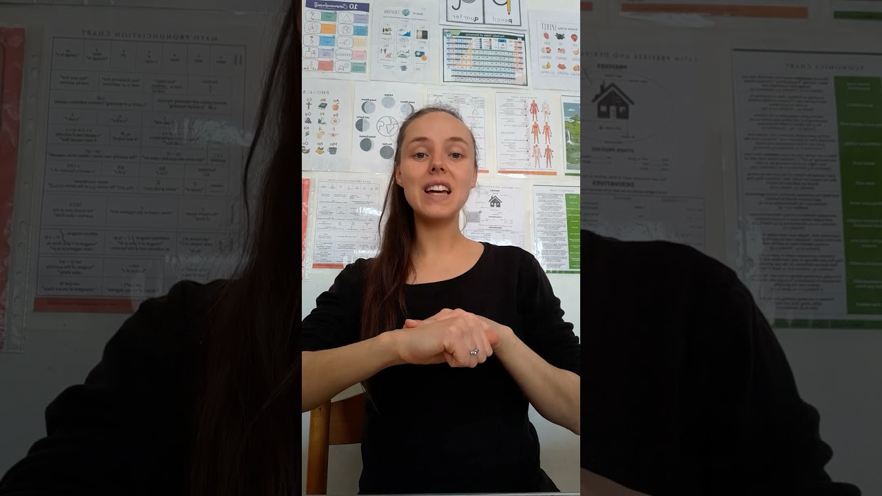 CC cycle 1 week 18 History