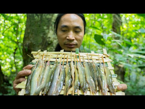 #15 Set traps and harvest loach - a special type of stream fish | Sumatra's Instincts
