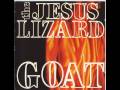 The Jesus Lizard - Karpis