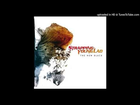 Strapping Young Lad - Decimator