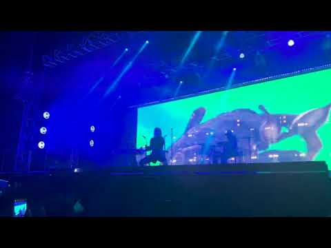 Hello Seahorse! - El Artista (En vivo)