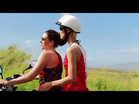 Hawaiin Cruisers End Of The Road