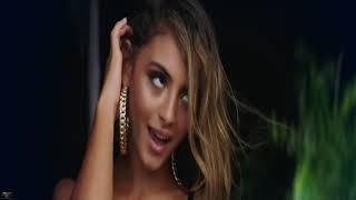 Chica Bombastic - Wisin &amp; Yandel Ft Shaggy  Extended Mix Dj Fabian Marin