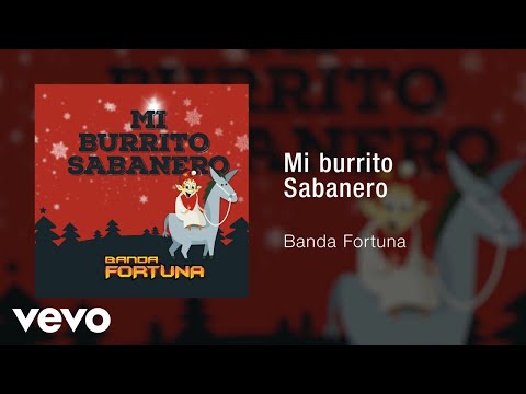 Banda Fortuna Mi Burrito Sabanero