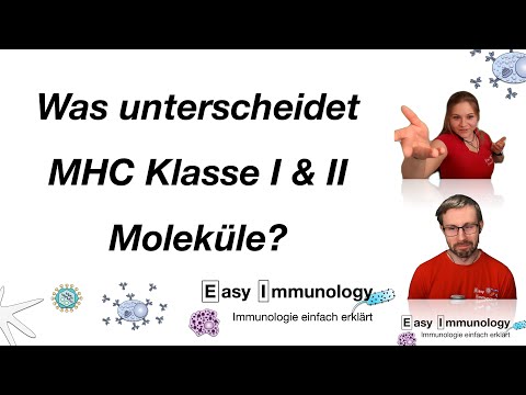 Season 8- Folge 4: Unterschied MHC I vs. II