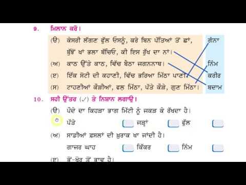 lesson 5 evs , (paude sade mittar), page 30-32 ,class 3 (Meri dunia, PSEB)