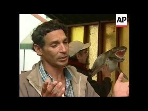 Scientists say giant penguins roamed Peru 40 million years ago