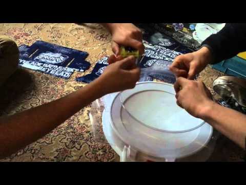 Kerbeus Armed Claw vs Valkyrie Heavy Xtreme – TOP TIER SERIES ベイブレードバースト