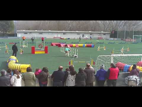 Saragossa 15 Febrer 2015 Drac Jumping SELECTIVA