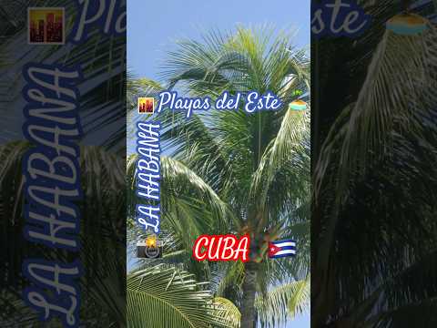 📸Playas del Este🏝️LA HABANA🌇CUBA🇨🇺#shorts #youtubeshorts