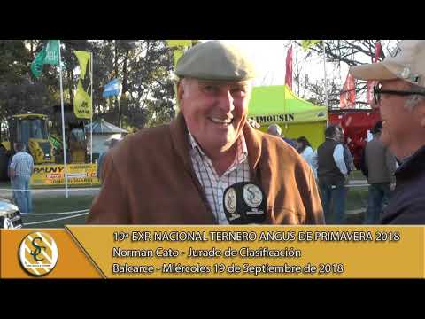 19-08-18 Nota Norman Cato - Jurado de Clasificación - Exp. Nacional Angus de Primavera - Balcarce