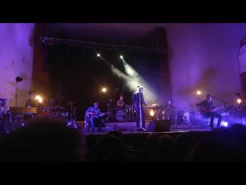 David Koller - Žádný city