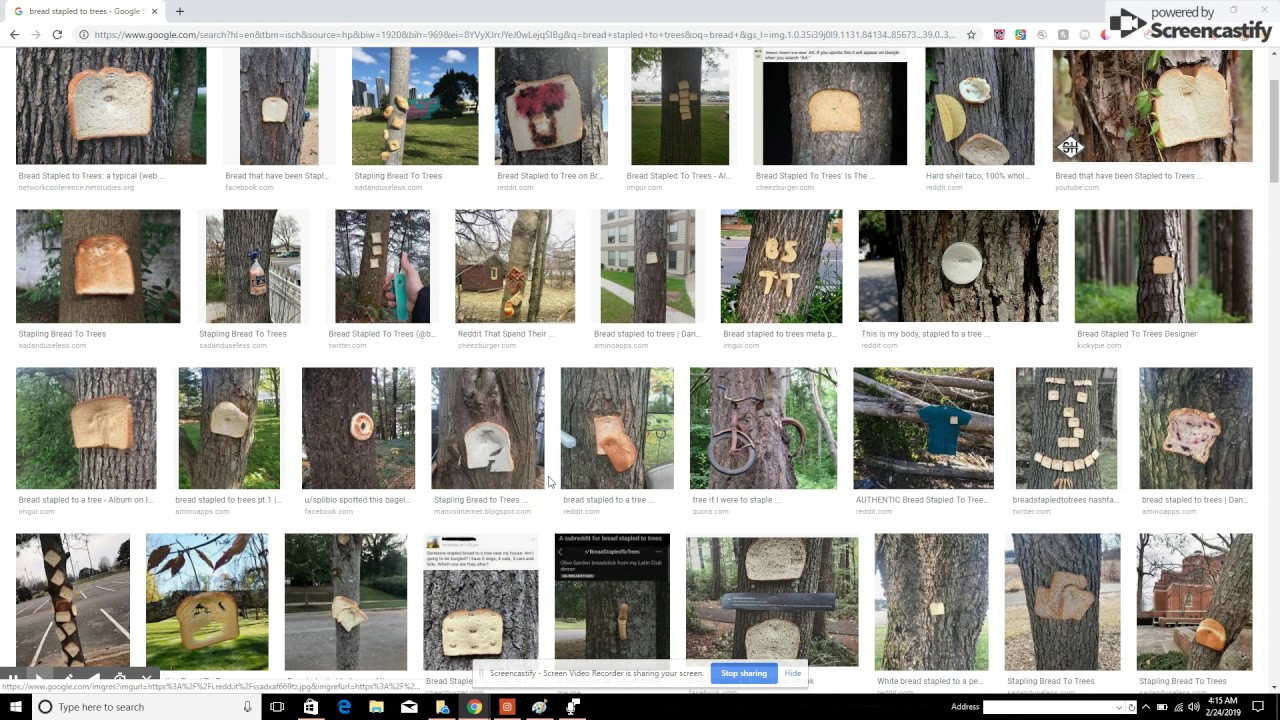 Bread Stapled to Trees (A Gamer guide for the best breaded tree)