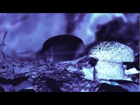 BEEN OBSCENE - ENDLESS SCHEME [official video]