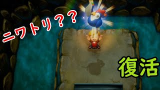 【ゲーム2人実況】ゼルダの伝説 夢をみる島 part13